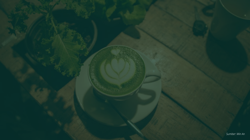 Matcha Trend | Katali